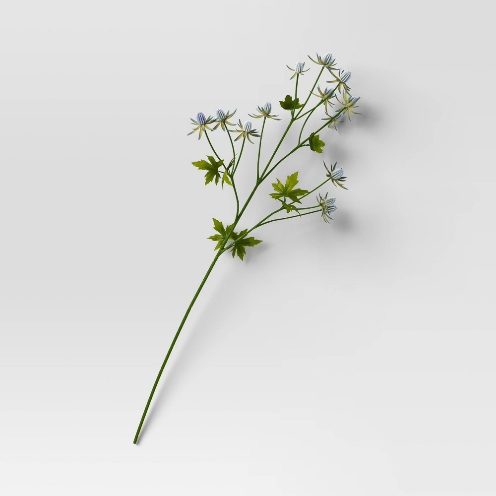 Thistle Stem - Threshold™ Bundle of 12